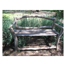 peaceful bench